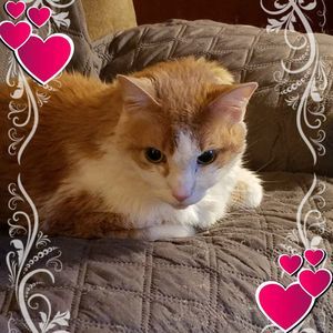 Meet your Posher, Michele